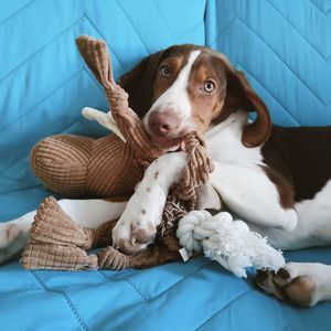 Meet your Posher, Martine